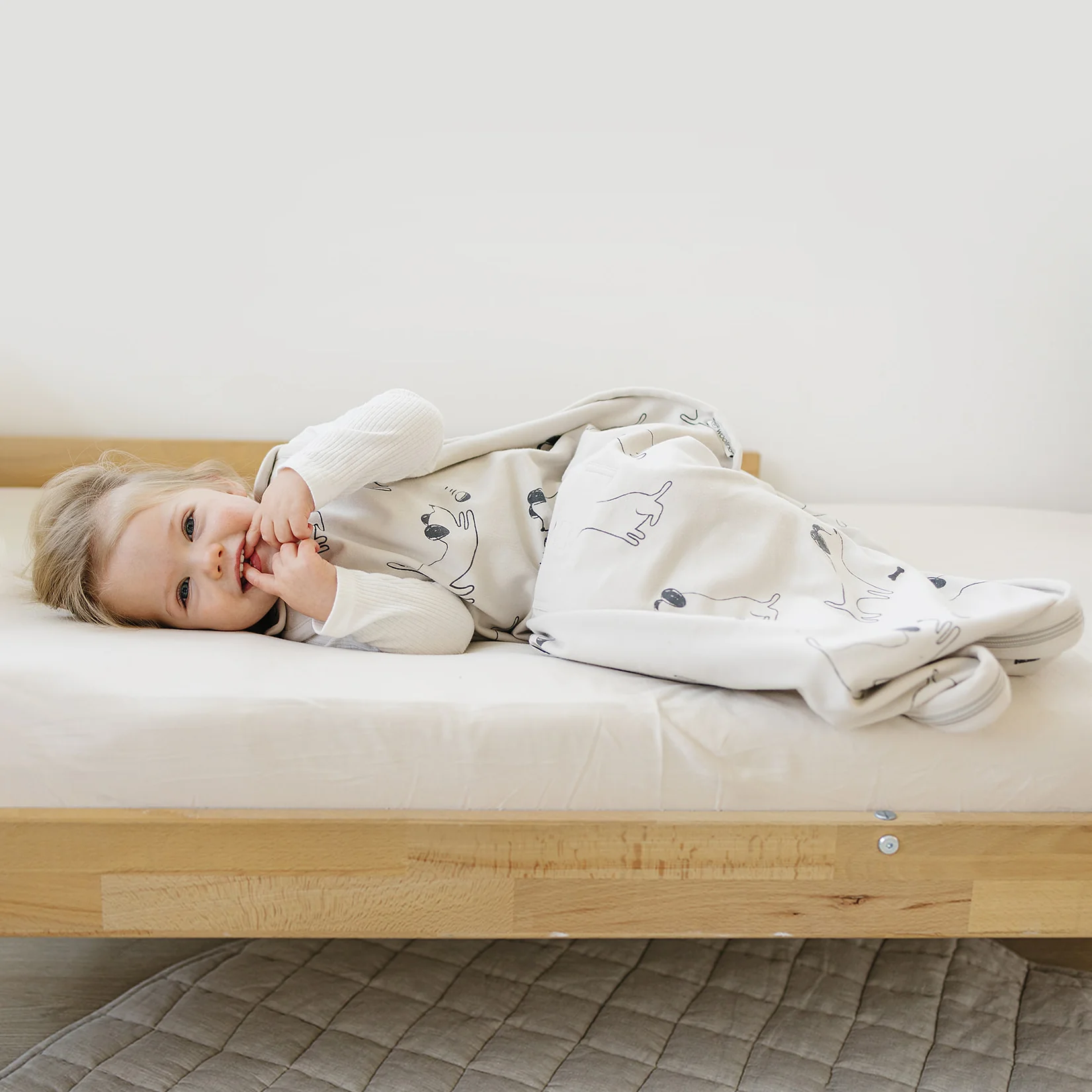4 Season® Ultimate Baby Sleep Bag, Merino Wool & Organic Cotton, Puppy - Image 5