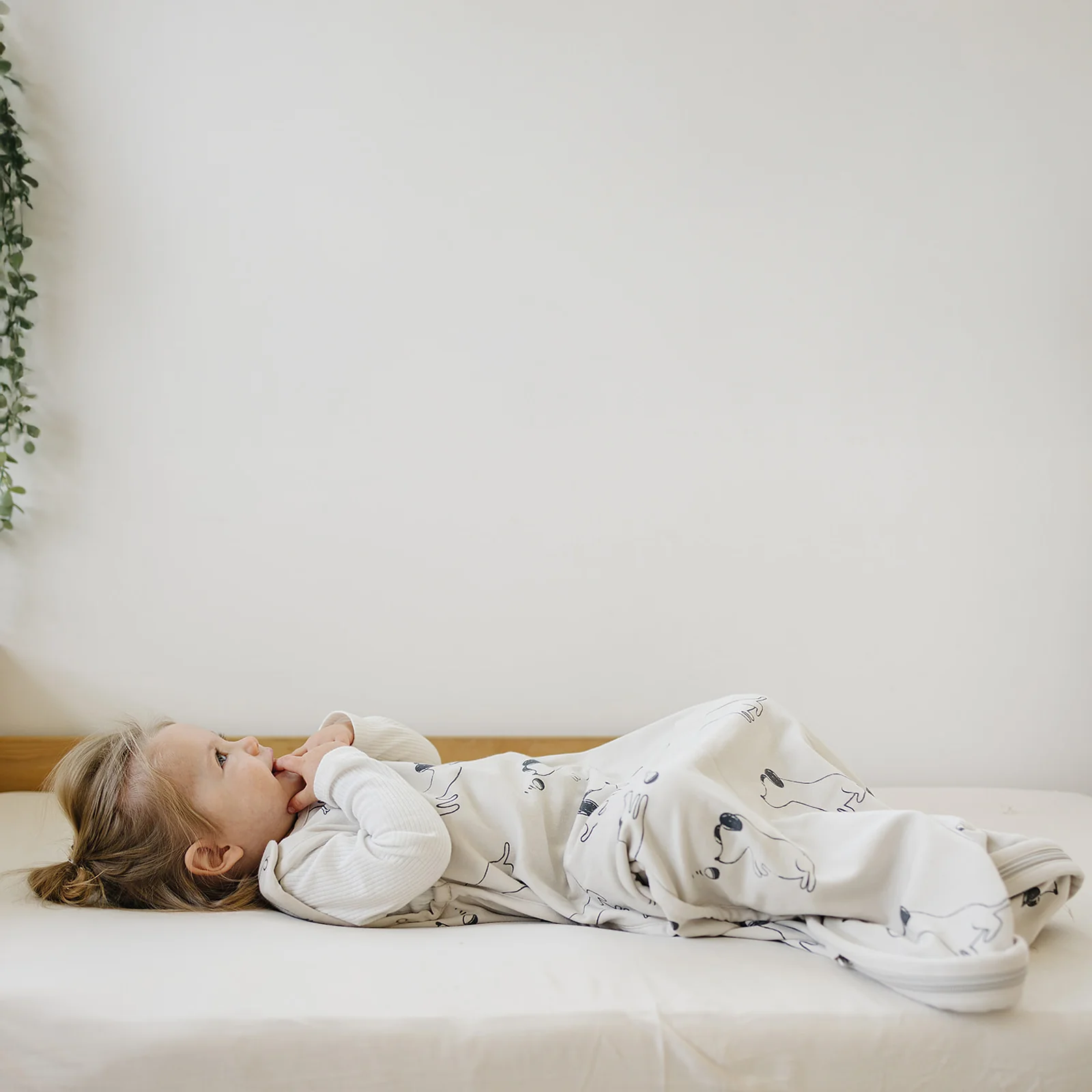 4 Season® Ultimate Baby Sleep Bag, Merino Wool & Organic Cotton, Puppy - Image 6